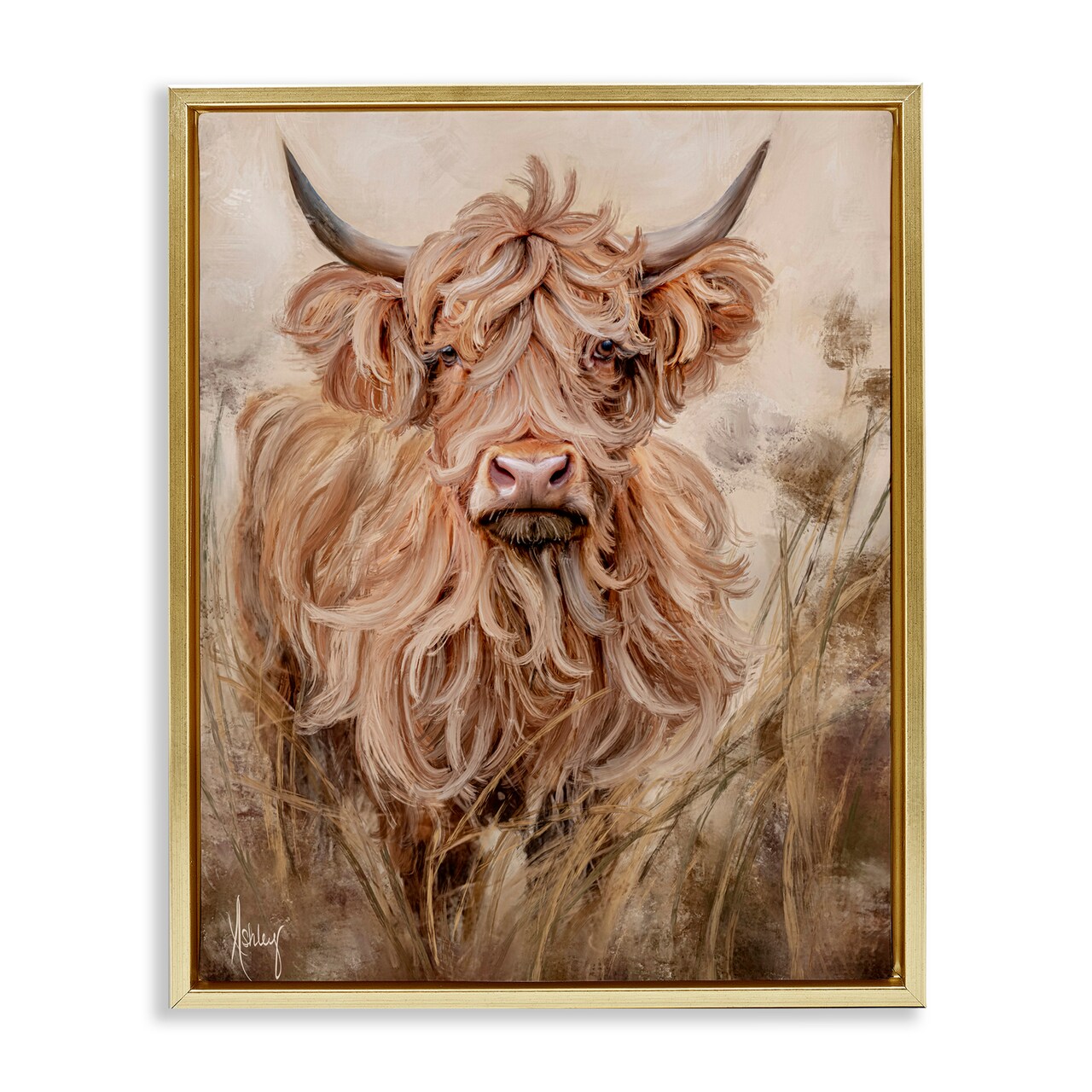 Stupell Industries Curly Haired Highland Cattle Floating Frame, design by Ashley Bradley
